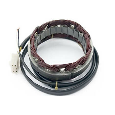 ElectroSport Stator ESG21 für Lichtmaschine