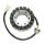 ElectroSport Stator ESG165 für Lichtmaschine