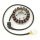 ElectroSport Stator ESG531 für Lichtmaschine