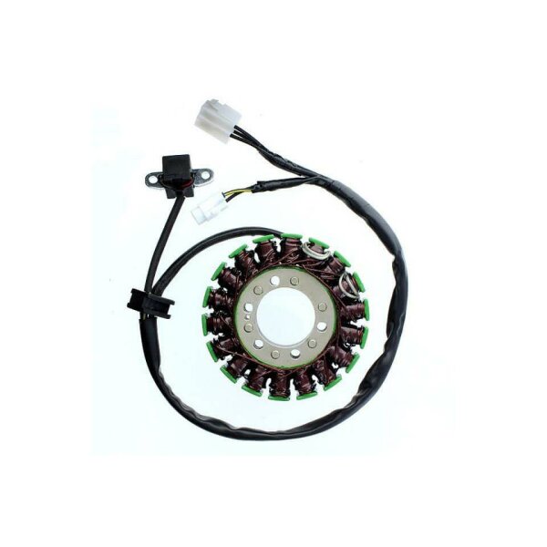 ElectroSport Stator ESG793 für Lichtmaschine