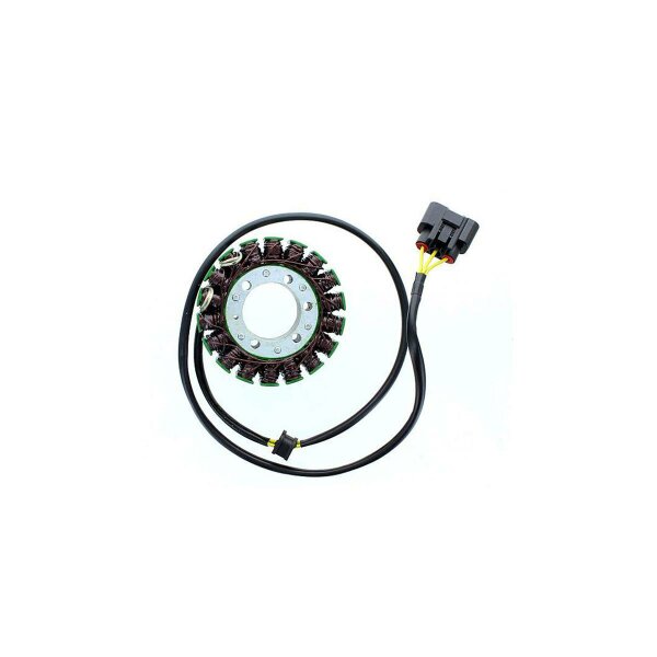 ElectroSport Stator ESG996 für Lichtmaschine