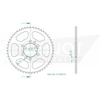 ESJOT Sprocket, 51 teeth