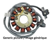 TECNIUM Lichtmaschinen-Stator Yamaha R1