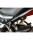 ACCESS DESIGN Side License Plate Holder - Triumph Trident 660