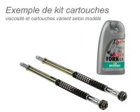 BITUBO Gabelfeder-Kit, Federrate 1,0, mit MOTOREX...