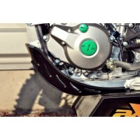 AXP GP Unterfahrschutz - HDPE 6 mm Kawasaki KX450F